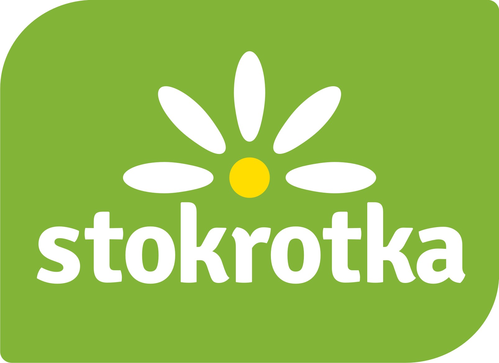 Stokrotka